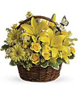 "Golden Blooms"