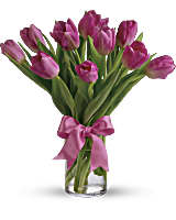 Pink Elegance