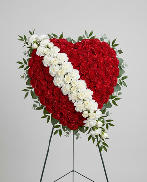 Red base white streak carnation bleeding heart