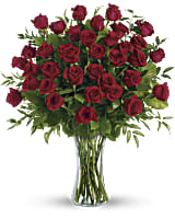 Scarlet Elegance