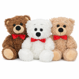 Classic Teddy Bear
