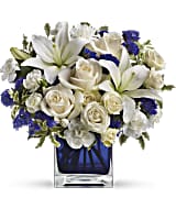 Sapphire Elegance