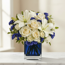 Sapphire Elegance