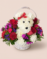 Puppy Love Blooms as shown