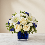 Sapphire Elegance as shown