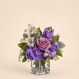 Sugar Sweet Blooms smaller Standard lavender rose, purple hydrangea and white alstroemeria fresh flower arrangement in a clear square glass vase